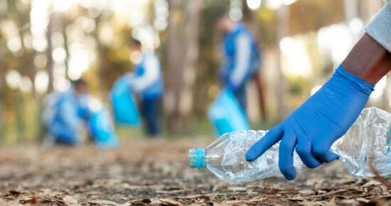 close-up-hand-collecting-bottle